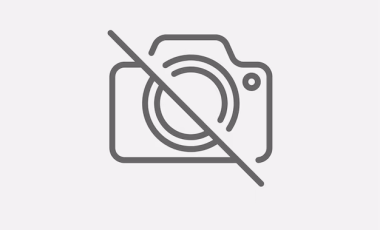 Domy z drewna – materiały konstrukcyjne